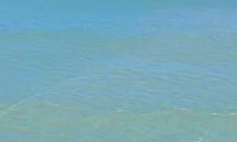 Imagem: Apartamento alto padrão com sacada e vista