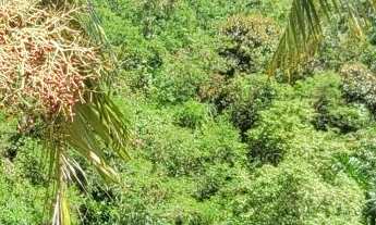 Imagem 3: Apartamento alto padrão com sacada gourmet, 3 suítes e lazer completo no condomínio - ENSE