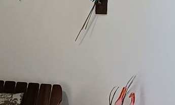 Imagem 5: Cobertura penthouse na praia da Pitangueiras-Guarujá/SP