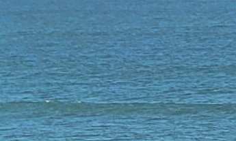 Imagem: Apartamento alto padrão com acesso a sacada