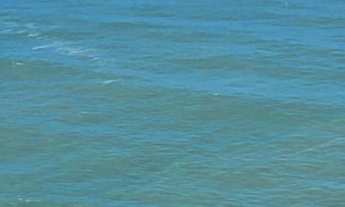 Imagem: Apartamento alto padrão com acesso a sacada