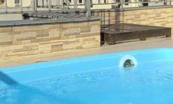 Imagem 2: COBERTURA DUPLEX , 3 dormitórios sendo 1 suíte, terraço com Piscina e área gourmet, lado p