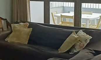 Imagem 4: Apartamento alto padrão com 3 dormitórios sendo 1 suíte + dormitório de serviço, sacada vi