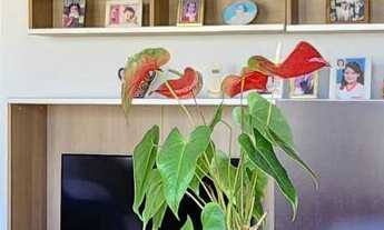 Imagem 5: Apartamento com acesso a sacada, 3 dormitórios sendo 1 suíte de serviço, lado bairro na pr