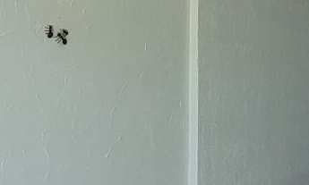 Imagem 7: Apartamento Alto Padrão frente mar, 2 dormitórios sendo 1 suíte, vista mar na praia do TOM