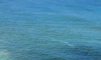 Imagem 2: Apartamento alto padrão com sacada ampla e vista para o mar, 3 suítes sendo 1 com acesso a