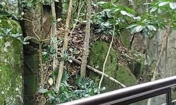 Imagem 2: Apartamento Alto Padrão com 3 dormitórios sendo 2 suítes, lazer completo no condomínio - T