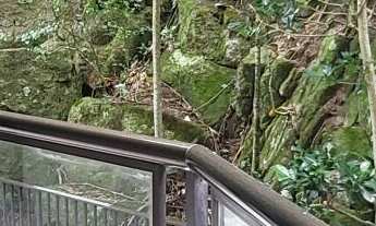 Imagem: Apartamento Alto Padrão com 3 dormitórios