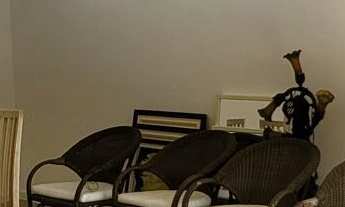 Imagem 5: Apartamento alto padrão com 3 dormitórios sendo 1 suíte, lazer completo no condomínio - PI