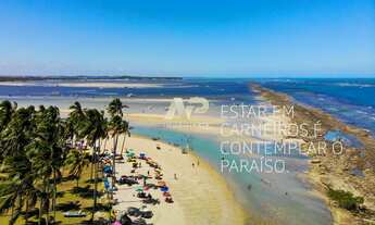Imagem: Bem-vindo ao Carneiros Atlântico Beach