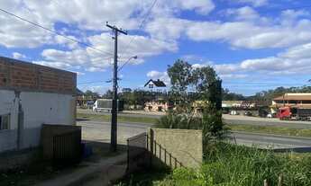 Imagem 5: Chácara em Garuva/SC, a 500 metros da entrada de Garuva, Itapoá e Guaratuba