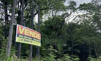 Imagem 2: Chácara em Garuva/SC, a 500 metros da entrada de Garuva, Itapoá e Guaratuba