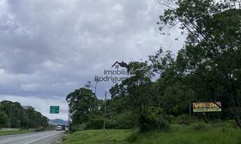 Imagem 4: Chácara em Garuva/SC, a 500 metros da entrada de Garuva, Itapoá e Guaratuba