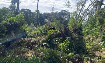 Imagem: Terreno à venda no bairro Balneário Imperador