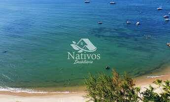 Imagem 6: Lote em Barra Grande com 600m² apenas 80m da praia