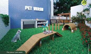 Imagem 6: Luar das Oliveiras