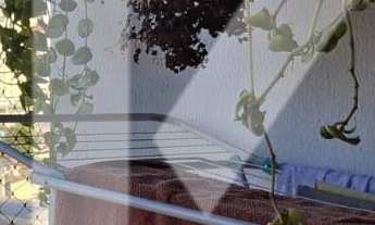 Imagem 4: Apartamento Padrão de 67m², 3 Dormitórios Sendo 1 Suíte e 2 Vagas no Condomínio Edifício P