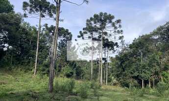 Imagem: Sítio com 32.288 m², com nascente e riacho