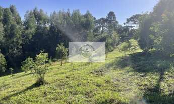 Imagem 3: Sítio em Campo Alegre com 12.100 m², com duas casas de madeira, todo cercado, com riacho n