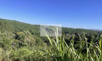 Imagem 6: Sítio em Campo Alegre com 12.100 m², com duas casas de madeira, todo cercado, com riacho n