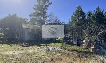 Imagem 4: Sítio em Campo Alegre com 12.100 m², com duas casas de madeira, todo cercado, com riacho n