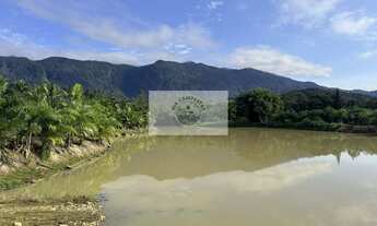 Imagem 6: Terreno para sitio no Quiriri, apenas 5 km do pórtico, escriturado, com lagos e riacho