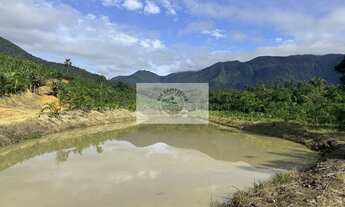 Imagem 3: Terreno para sitio no Quiriri, apenas 5 km do pórtico, escriturado, com lagos e riacho