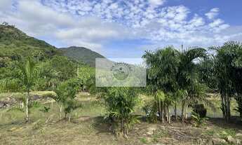 Imagem 7: Terreno para sitio no Quiriri, apenas 5 km do pórtico, escriturado, com lagos e riacho