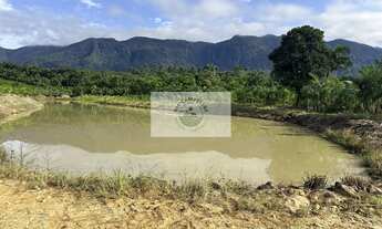 Imagem 5: Terreno para sitio no Quiriri, apenas 5 km do pórtico, escriturado, com lagos e riacho
