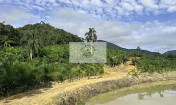 Imagem 2: Terreno para sitio no Quiriri, apenas 5 km do pórtico, escriturado, com lagos e riacho