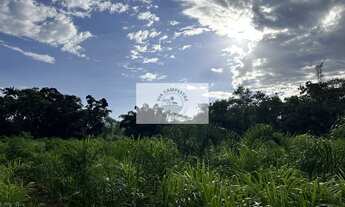 Imagem 7: Sítio com 37.866 m², frente para o asfalto, com rio passando dentro, na Estrada Palmeiras