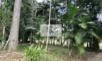 Imagem 5: Sítio com 37.866 m², frente para o asfalto, com rio passando dentro, na Estrada Palmeiras