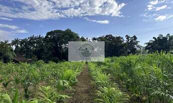 Imagem 6: Sítio com 37.866 m², frente para o asfalto, com rio passando dentro, na Estrada Palmeiras