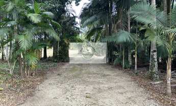 Imagem 2: Sítio com 37.866 m², frente para o asfalto, com rio passando dentro, na Estrada Palmeiras