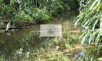 Imagem 3: Sítio com 37.866 m², frente para o asfalto, com rio passando dentro, na Estrada Palmeiras