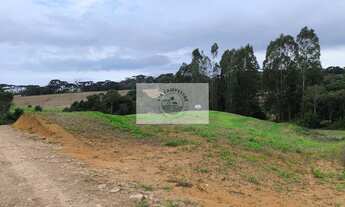 Imagem: Terreno para sitio com 20.000 m², com riacho