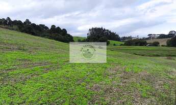 Imagem 6: Terreno para sitio com 20.000 m², com riacho e nascente, apenas 3,5 km do asfalto