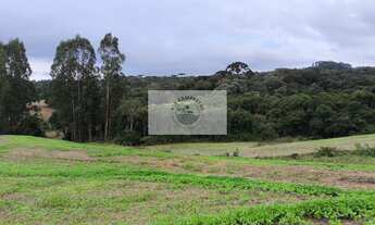 Imagem 5: Terreno para sitio com 20.000 m², com riacho e nascente, apenas 3,5 km do asfalto