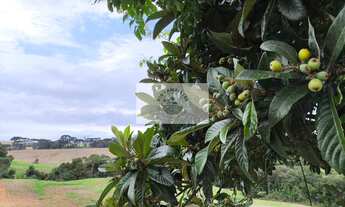 Imagem 7: Terreno para sitio com 20.000 m², com riacho e nascente, apenas 3,5 km do asfalto