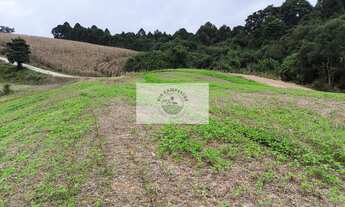 Imagem 2: Terreno para sitio com 20.000 m², com riacho e nascente, apenas 3,5 km do asfalto