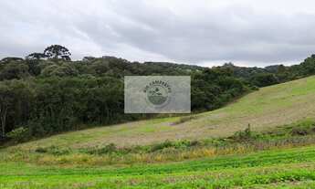 Imagem 4: Terreno para sitio com 20.000 m², com riacho e nascente, apenas 3,5 km do asfalto