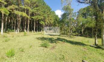 Imagem 4: Sítio à venda no bairro Centro - Campo Alegre/SC