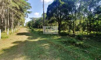 Imagem 2: Sítio à venda no bairro Centro - Campo Alegre/SC