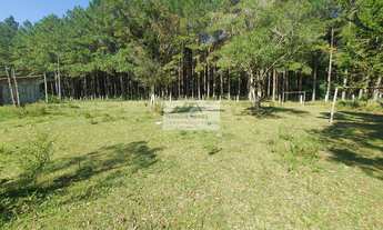 Imagem 7: Sítio à venda no bairro Centro - Campo Alegre/SC