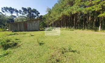 Imagem 3: Sítio à venda no bairro Centro - Campo Alegre/SC