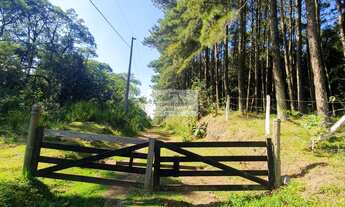 Imagem: Sítio à venda no bairro Centro - Campo