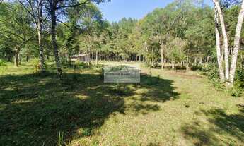 Imagem 6: Sítio à venda no bairro Centro - Campo Alegre/SC