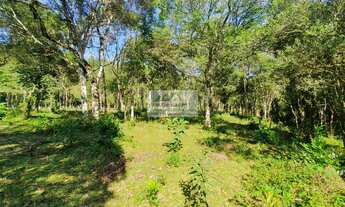 Imagem 5: Sítio à venda no bairro Centro - Campo Alegre/SC