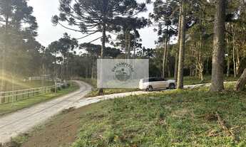 Imagem: Sítio com 8.310 m², no Lajeado, apenas