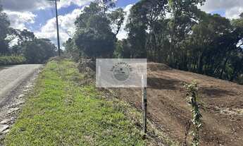 Imagem 5: Sítio com 20.000 m², escriturado, 8 km do asfalto, analisa permuta, apenas R$ 395.000,00